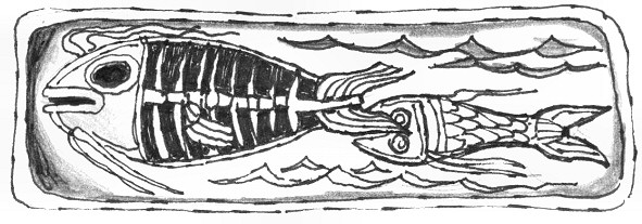 Pesci - Disegno di Luciano Scali