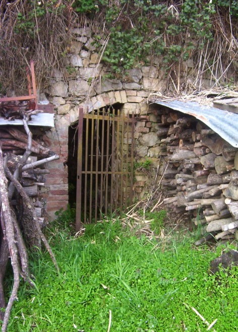 La Fonte di Tinoni - L'ingresso della sorgente
