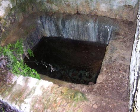 La Fonte di Tinoni - Vasca di raccolta