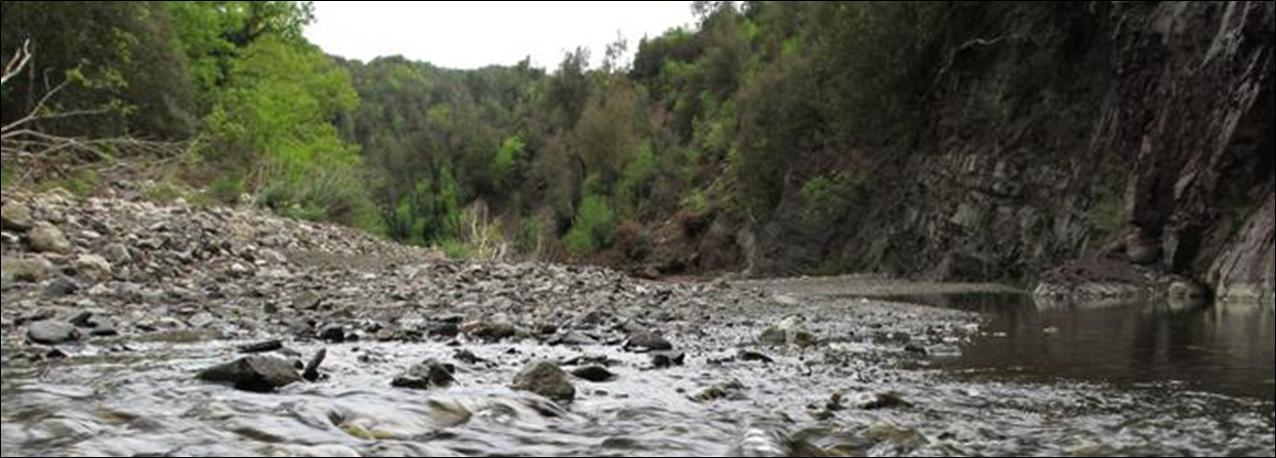 Torrente Crevole, Murlo (SI), foto Barbara Anselmi