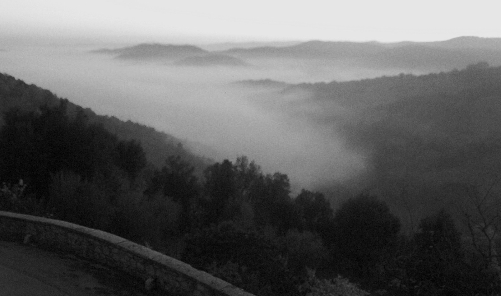 Nebbia nella valle del Crevole - foto di Luciano Scali