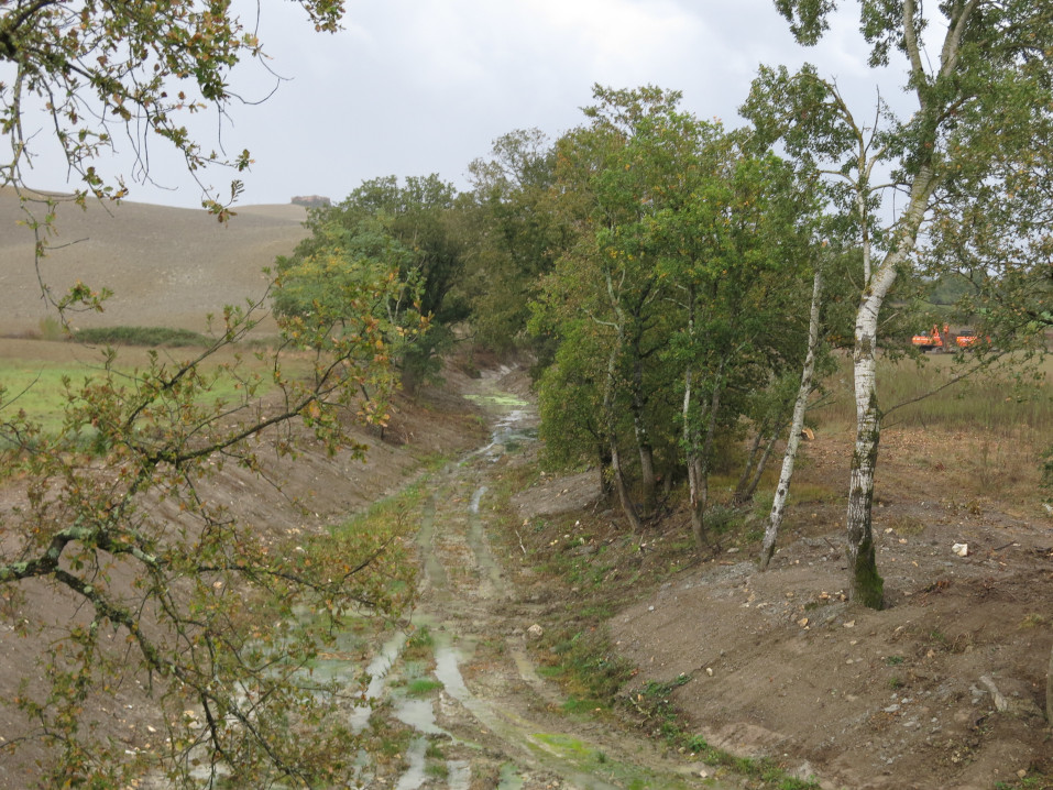 Torrente Stile - Murlo - novembre 2018