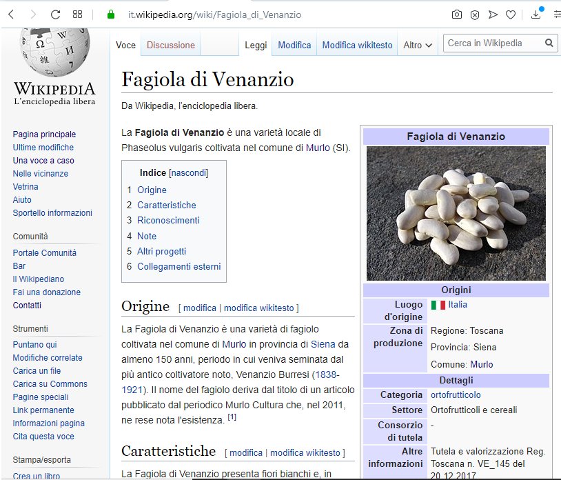 La pagina di Wikipedia dedicata ala Fagiola di Venanzio di Murlo