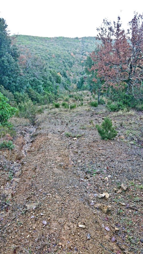 Cessa tagliafuoco sul Crevolicchio