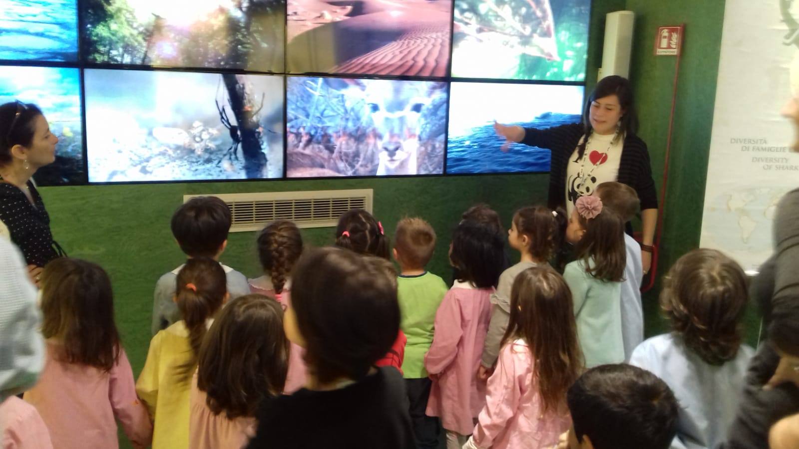 Il Museo della Biodiversità di Monticiano