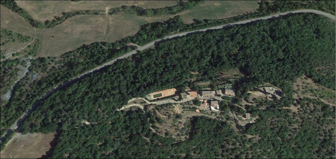 Bosco di Crevole prima del taglio (2013)