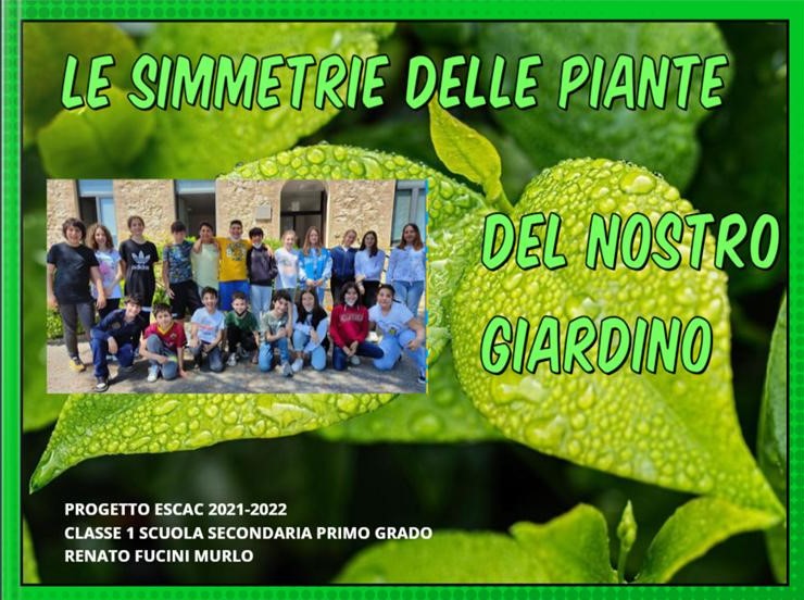 Le simmetrie delle piante - Ebook della Scuola di Murlo per progetto ESCAC