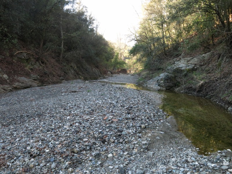 Torrente Crevole all'altezza di Vescovado di Murlo