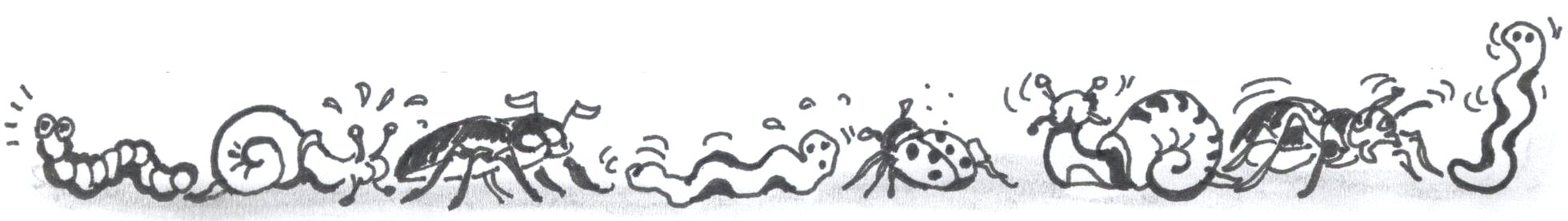 Disegno di Luciano Scali