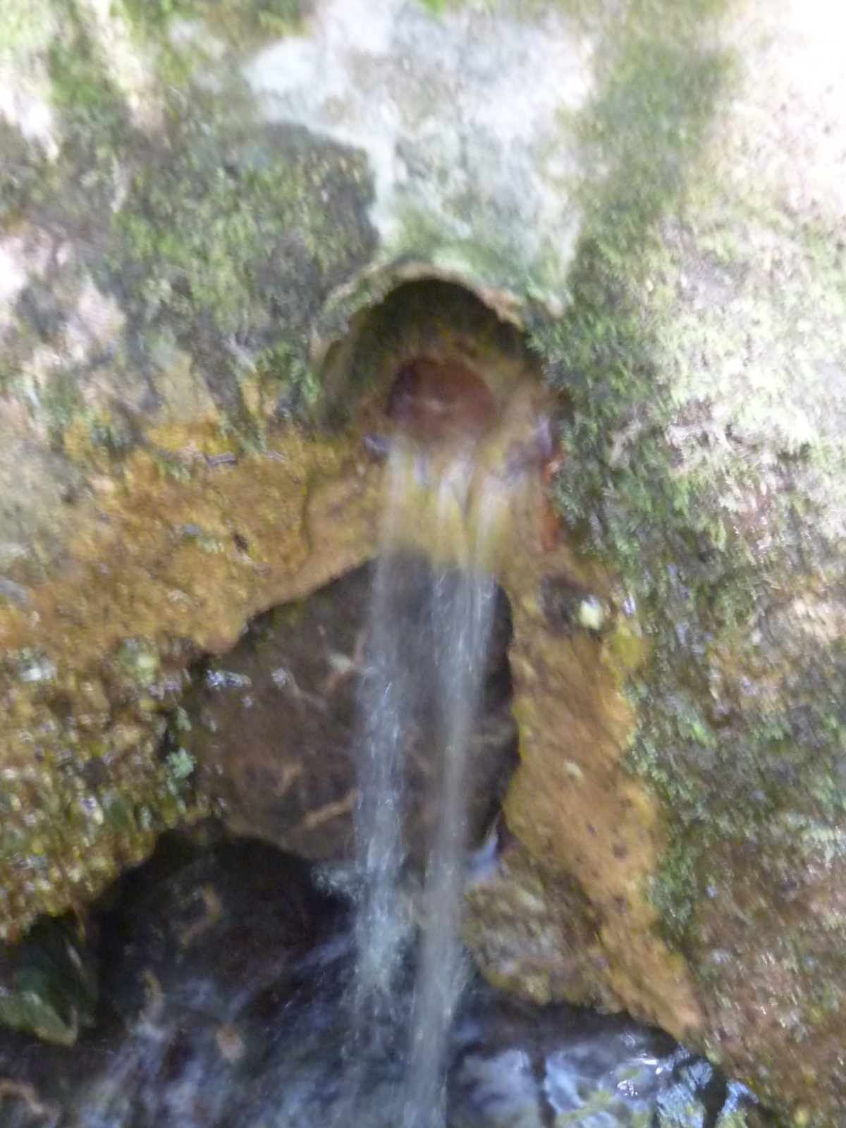 Fonte dei Canapai