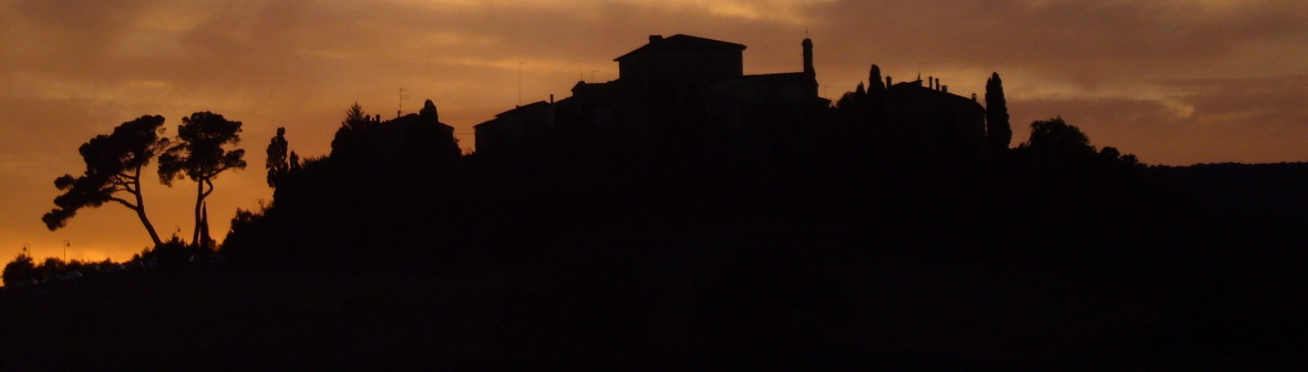 I pini di Murlo al tramonto