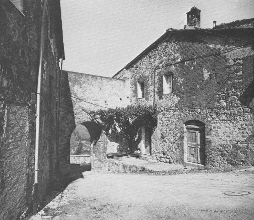 La vite di Murlo