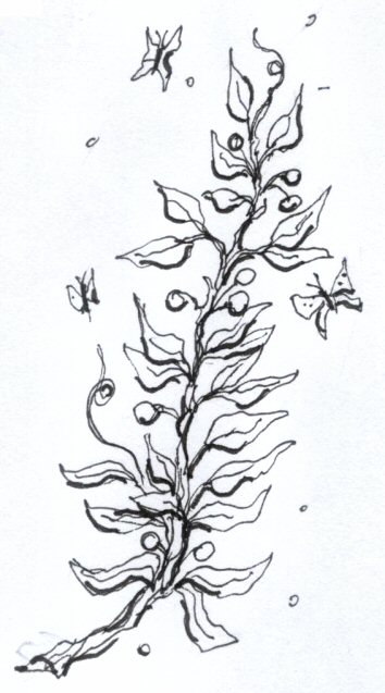 disegno di Luciano Scali