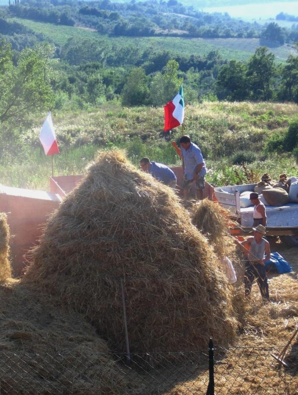 Festa della Trebbiatura a Casciano di Murlo